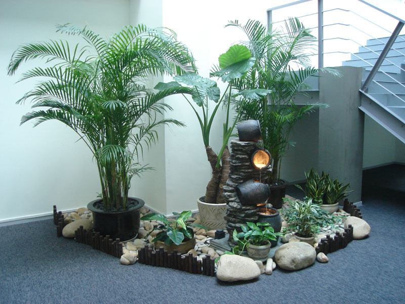 首页 服务类型 植物造景 植物造景 室内植物景观设计首先要服从